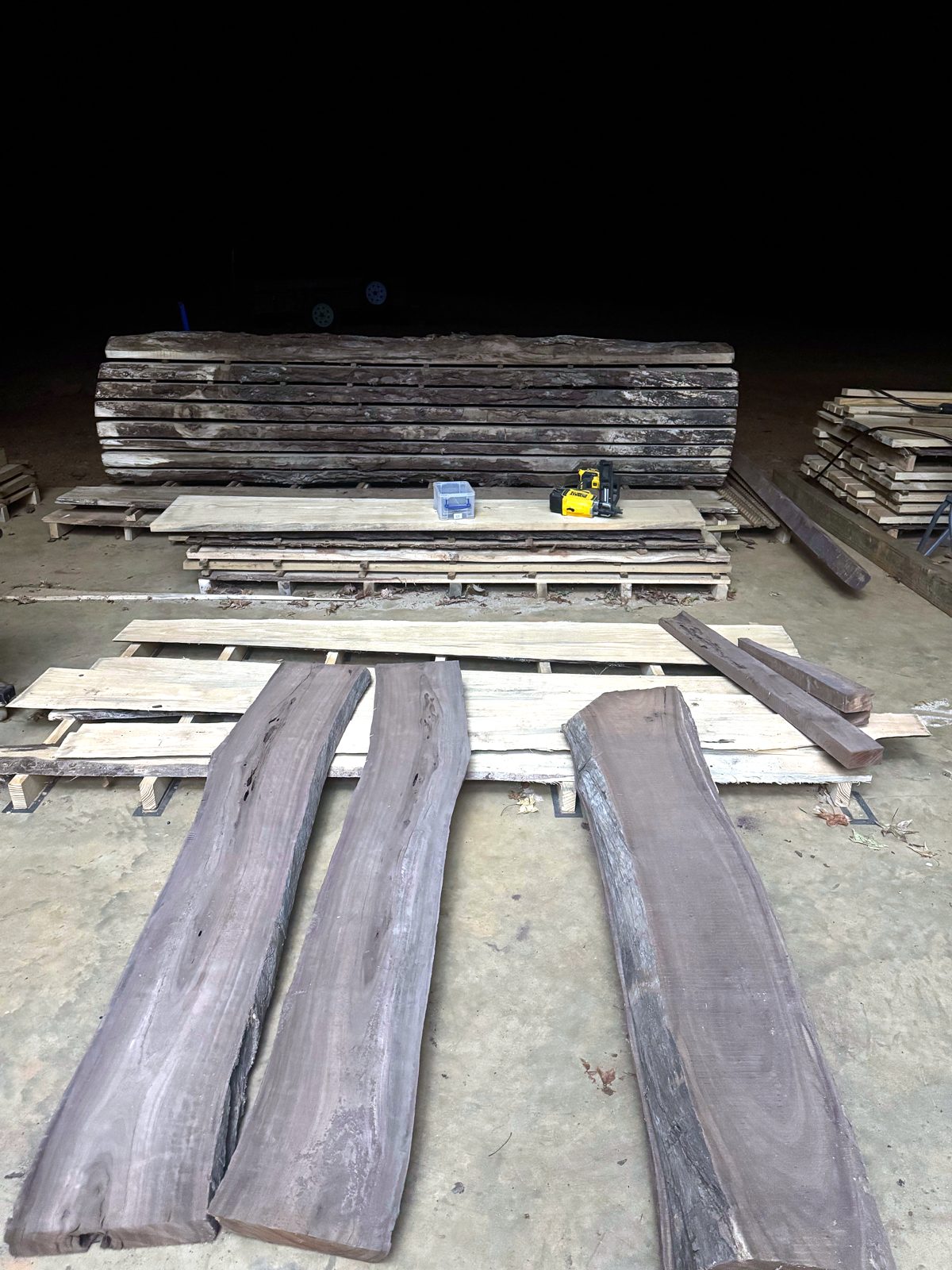 Walnut slabs at the mill
